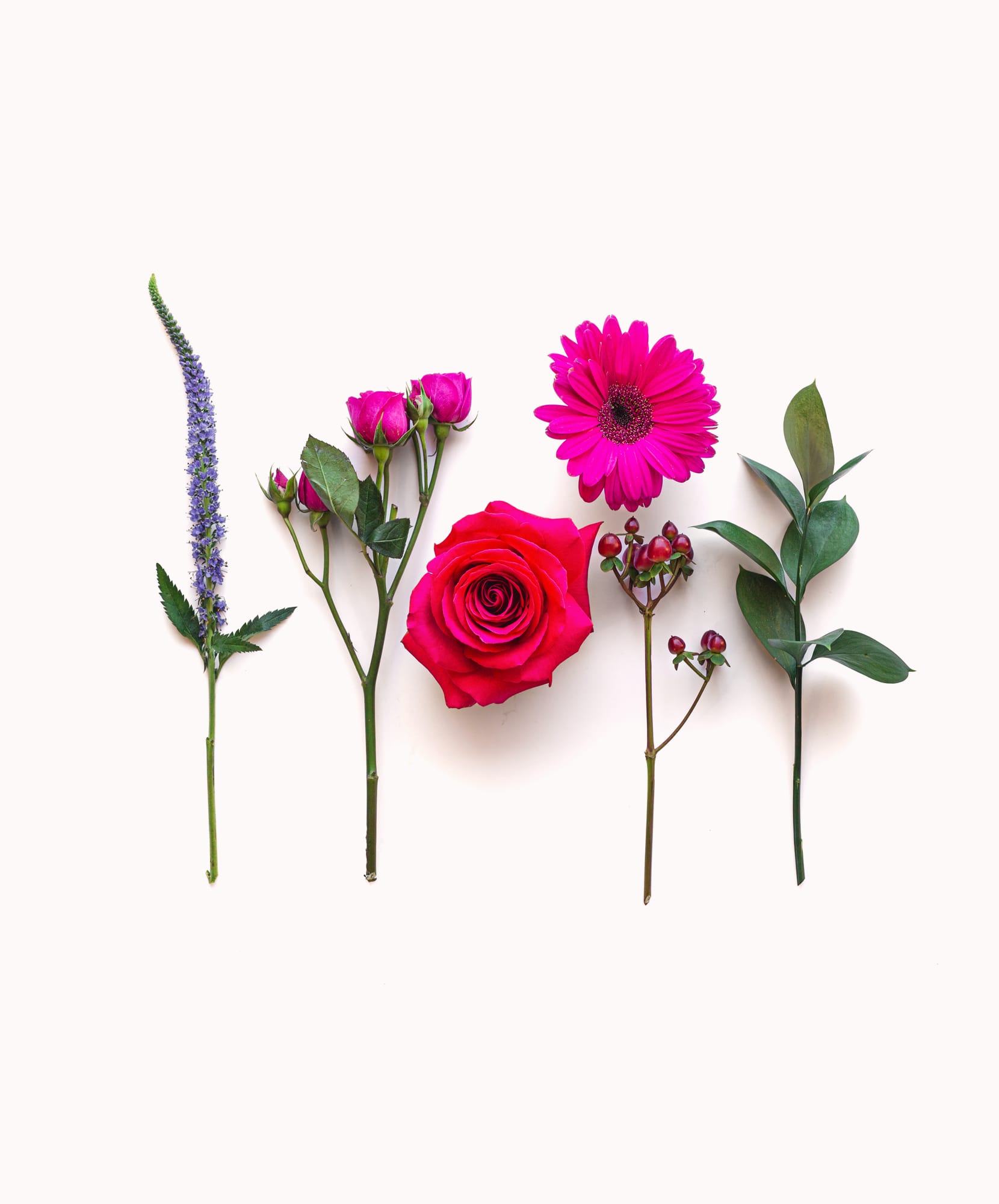 Vibrant floral arrangement featuring pink roses, daisies, and green leaves on a soft background.